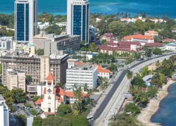 Tanzania: Japan sign deal to decongest Dar es Salaam