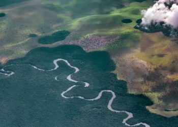 Literature from the Congo Basin offers ways to address the climate crisis