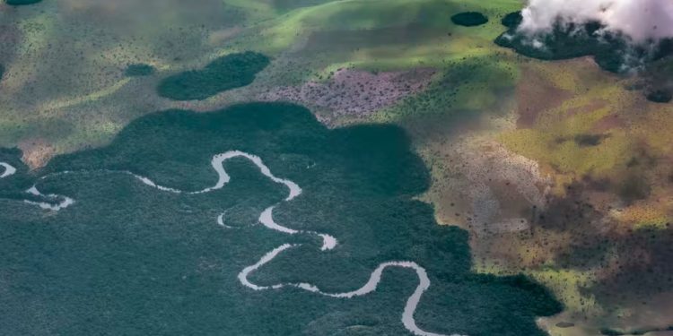 Literature from the Congo Basin offers ways to address the climate crisis