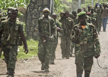 DRC: resumption of fighting between the FARDC and the M23