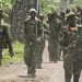 DRC: resumption of fighting between the FARDC and the M23