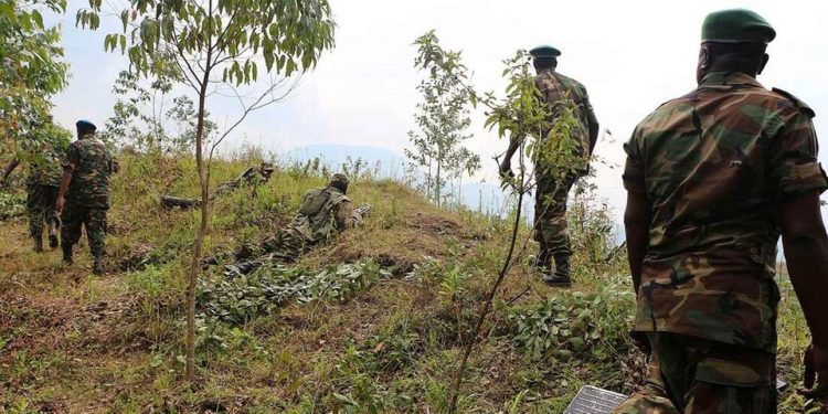 Rwanda invaded DR Congo, backed M23 rebels – UN experts