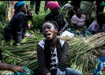 Ituri: Over thirty people were killed within two days