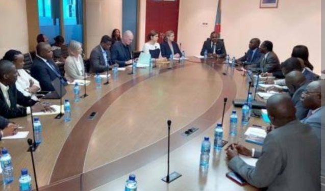 DRC : The main part of exchanges between  WHO delegation and the Congolese minister of public health