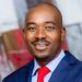 Zimbabwe: Nelson Chamisa official opponent to Mnangwagwa for coming Presidential Election