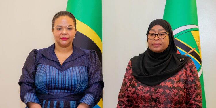 DRC-Tanzania: Message from Félix Tshisekedi at the Heart of Discussions