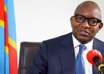 The Voice of the Democratic Republic of the Congo: Presented to the French Senate