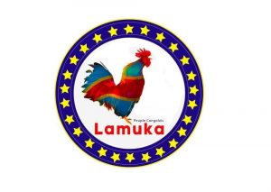 RDC : La coalition Lamuka plaide pour la mise en place des unités opérationnelles pour attaquer la racine de l’insécurité.