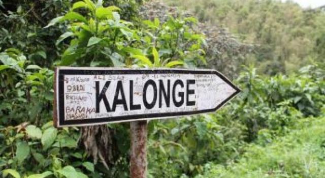 SUD-KIVU: Les appels se multiplient pour la libération du chef du groupement de Kalonge.