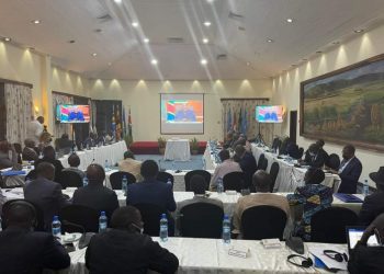 Consultations de Nairobi : Les leaders de certains groupes armés  favorables à l’appel du chef de l’État Tshisekedi
