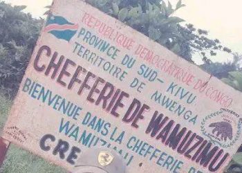 Sud-kivu/Insécurité à Mwenga : un mouvement des inciviques dénommé « sauveurs» se crée.
