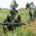 Nord-Kivu : reprise des combats entre FARDC et M23 à Rutshuru