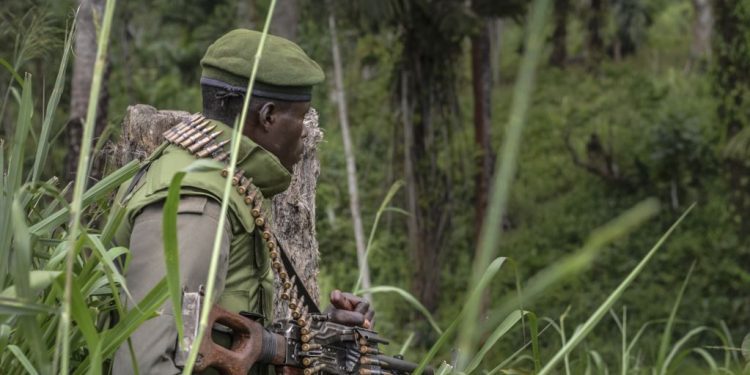 Sud-Kivu: affrontements entre deux groupes armés dans les hauts plateaux de Fizi