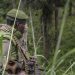 Sud-Kivu: affrontements entre deux groupes armés dans les hauts plateaux de Fizi