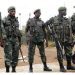 Nord-Kivu: Sur les fronts, une série de contre-offensive a été lancée par les FARDC contre les terroristes du M23