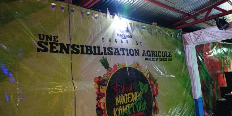 Sud-Kivu/Mwenga: la campagne de sensibilisation sur les activités champêtre prévue pour ce vendredi