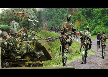 RDC : reprise des combats entre les FARDC et le M23