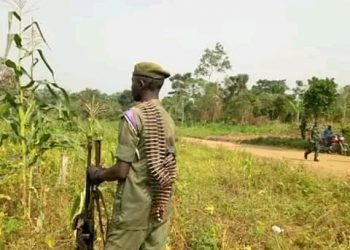 Sud-Kivu : reddition volontaire de 6 combattants Maï-Maï à Luvungi