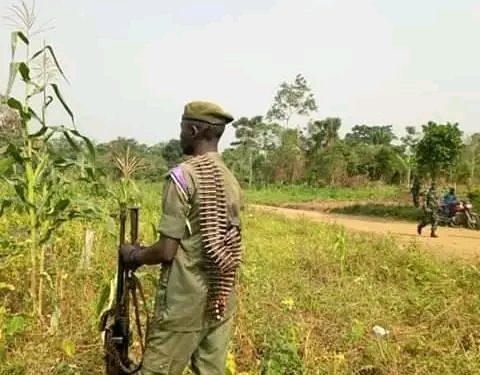 Sud-Kivu : reddition volontaire de 6 combattants Maï-Maï à Luvungi
