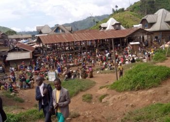 Sud-Kivu :Un agent de l’ANR assassiné à Kalehe (société civile)