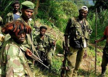 L’ex-rebelle FDLR, Straton Musoni, extradé au Rwanda