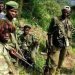 L’ex-rebelle FDLR, Straton Musoni, extradé au Rwanda