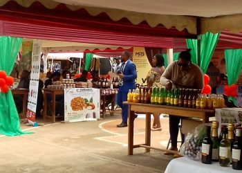 Festivités de fin de l’année 2022 : un marché moderne pour Noël s’ouvre à Bukavu