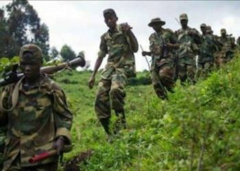Nord-Kivu:  le  M23 débute l’enrôlement des mineurs et prisonniers de guerre dans leur mouvement à Rutchuru