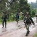 Nord-Kivu/Rutshuru: Après trois d’affrontements, une accalmie s’observe déjà dans le groupement de Binza