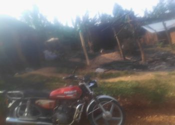 Nord-Kivu : Plus de 45 personnes massacrées dans une double attaque des ADF à Béni