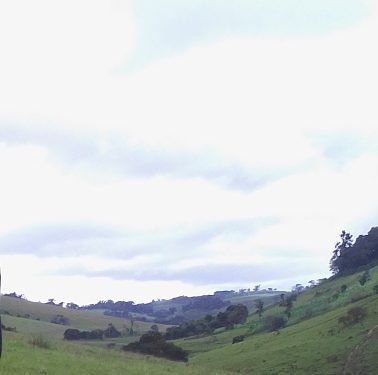 Sud-Kivu : Nouveau affrontements entre le groupe armé Gumino et Biloze bishambuke au village Musika(Fizi)