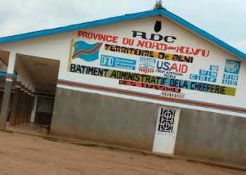 Nord-Kivu/Béni: un retour progressif de la population s’observe dans la chefferie de Bashu