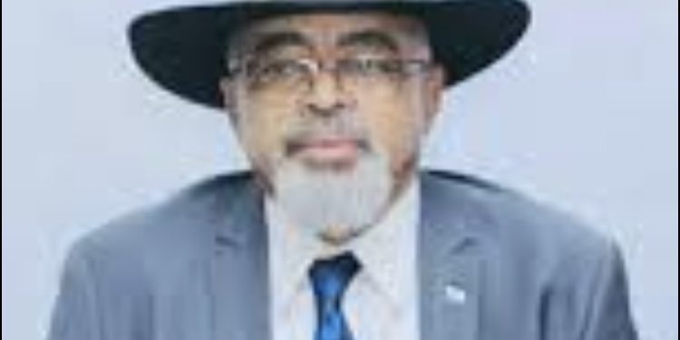 Sud-Kivu : le Mwami Ntabuka, de retour dans la province après un long moment