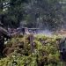 Sud-Kivu : dégradation de la situation sécuritaire à Mikenge depuis le retrait des FARDC