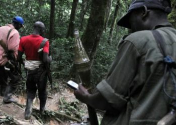 Sud-Kivu/Kalehe: 5 détenteurs d’armes arrêtés par les services de sécurité