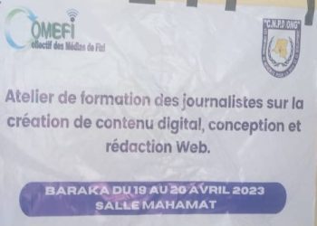 Sud-kivu/Fizi: des journalistes formés sur la création du digital, conception et rédaction web