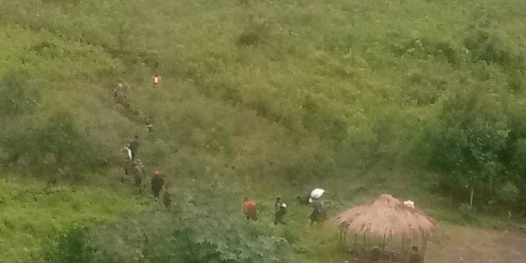 Nord-Kivu: Le mouvement patriotique dit Wazalendu déplore l’entrée non contrôlée des militaires ougandais à Rutshuru