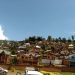 Bukavu/Kadutu : La police interpelle les fumeurs de chanvre