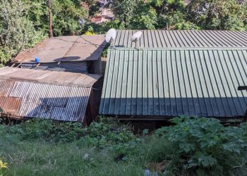 Insécurité au quartier Nkafu : dans l’avenue Mwangaza, la population barre la route aux malfrats