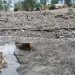 Sud-Kivu/Inondations à Kalehe: le bilan des personnes mortes s’alourdit et dépasse le nombre de 300