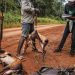 RDC : la Réduction de la consommation de la viande de brousse à Kinshasa est recommandée