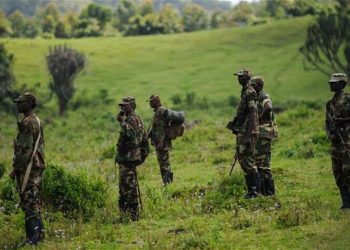 Nord-Kivu : les Combats font rage, entre les FARDC et le M23 Kanyamahoro