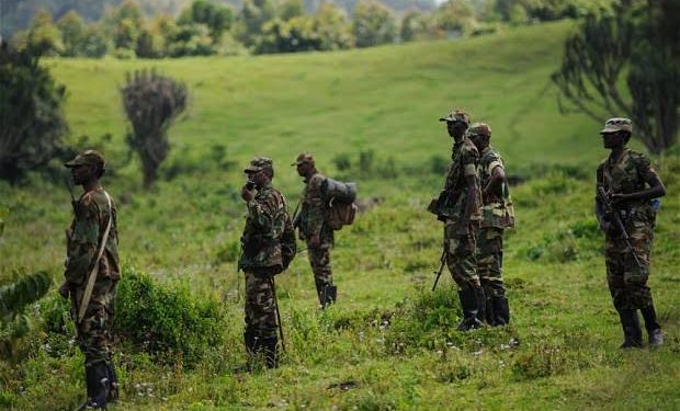 Nord-Kivu : les Combats font rage, entre les FARDC et le M23 Kanyamahoro