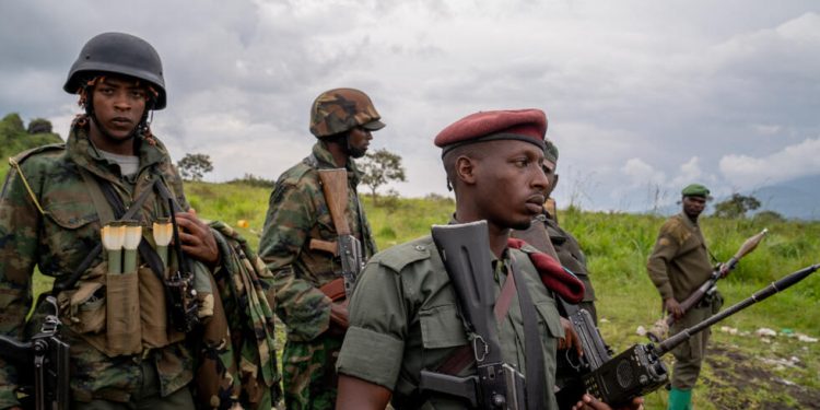 RDC: Le Conseil de sécurité de l’ONU au groupe terroriste du M23