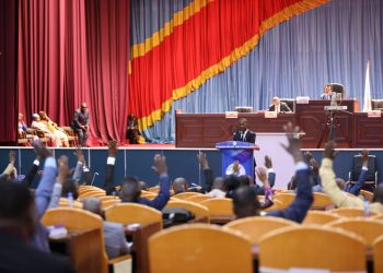 RDC : La proposition de loi portant création de l’Ordre national des environnementalistes à été adopté par l’Assemblée nationale