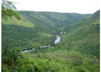 Sud-Kivu : Poursuite des affrontements entre les Gumino et Biloze Bishambuke ce lundi à Ngandura 25 décembre 2023(Fizi)