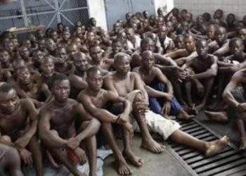 JUSTICE -RDC : Plus de 500 prisonniers ont perdu la vie à la prison centrale de Makala en moins d’une année