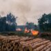 RDC : Quel programme de surveillance de l’état de la biodiversité !?