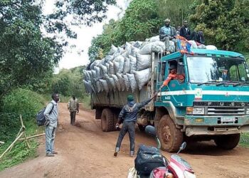 Sud-Kivu : Interdiction des barrières illégales (communiqué).