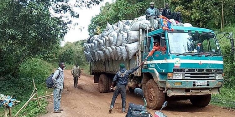 Sud-Kivu : Interdiction des barrières illégales (communiqué).